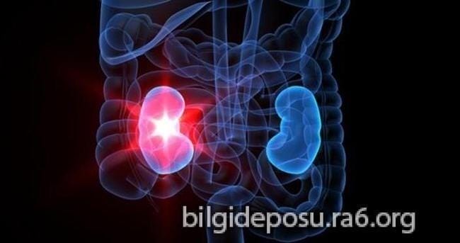bobreklerde bozulma seker yukselirse ne olur - Bilgideposu
