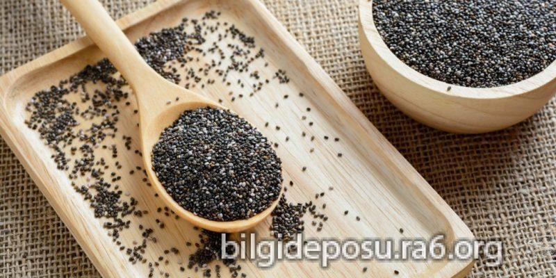 chia tohumu yararlari - Bilgideposu