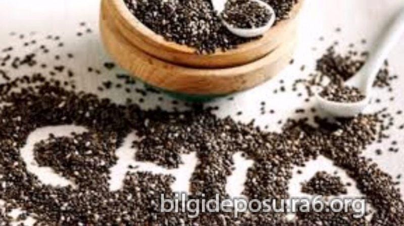 chia tohumu zararlari - Bilgideposu