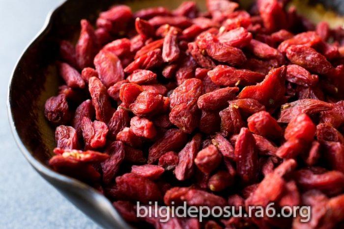 goji berry faydasi - Bilgideposu