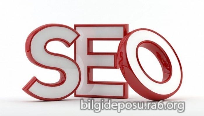 profesyonel arama motoru optimizasyonu seo nedir - Bilgideposu