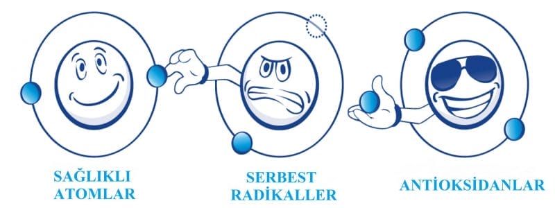 serbest radikaller antioksidanlar scaled 1 - Bilgideposu