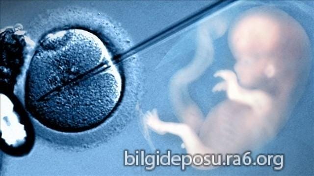 Tüp Bebek Tedavisi - Bilgideposu Tüp bebek nasıl yapılıyor?