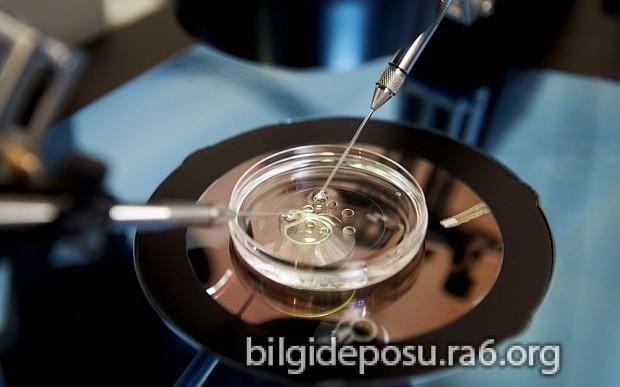 Tüp Bebek Tedavisi - Bilgideposu Tüp Bebek tedavisi aşamaları