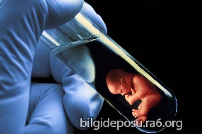 Tüp Bebek Tedavisi - Bilgideposu Tüp Bebek Tedavisi