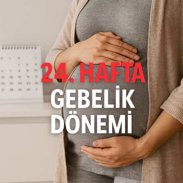 24. Hafta Gebelik Dönemi