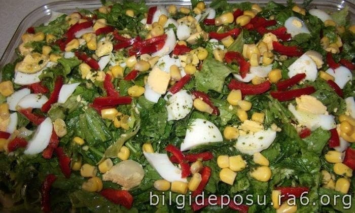 Yumurta Piyazı