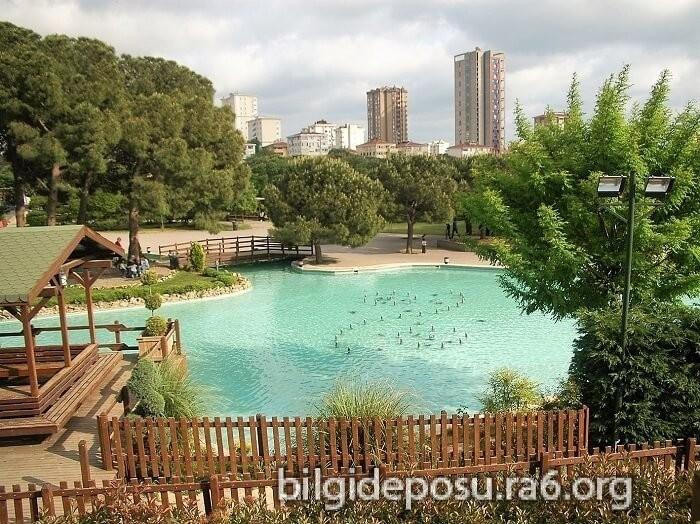 İstanbulda Gezilebilecek Doğal Parklar